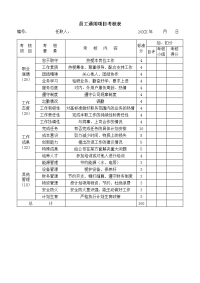 员工通用项目考核表模板
