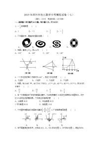 苏州市初三数学中考模拟试卷详解