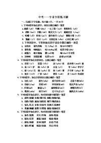 语文中考字音字形练习题形式及答案