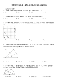 青岛版九年级数学上册图形的相似中考原题训练附答案