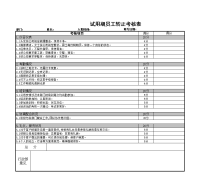 试用期员工转正考核表