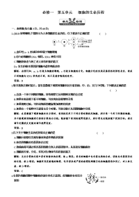 三维设计解析版课标人教版高考生物一轮复习单元质量检测必修细胞的生命历程