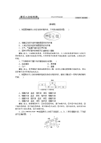 优化方案高考生物大一轮复习练习人体的内环境与稳态课后达标检测