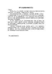 寒冬送温暖的感谢信范文