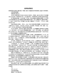 幼师的感谢信