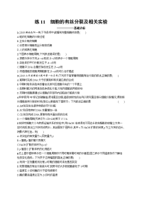 高考生物一轮复习同步练习12 细胞的增殖