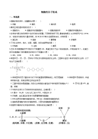 高考生物专题练习细胞的分子组成无答案