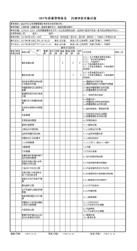 内部审核记录汇编(按过程审核)