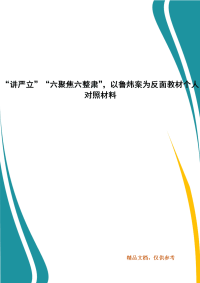 “讲严立”“六聚焦六整肃”，以鲁炜案为反面教材个人对照材料