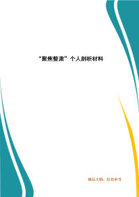 “聚焦整肃”个人剖析材料