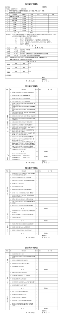 供应商评审报告