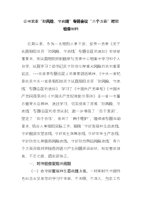 公司支部党委“防风险、守底线”专题支部党委“六个方面”对照检查材料