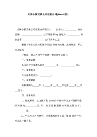 天津小额贷款公司借款合同(Word版）