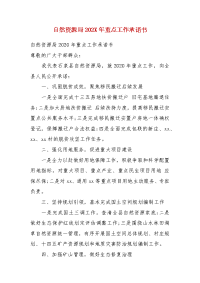 自然资源局202X年重点工作承诺书