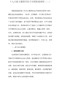 十九大新主题领导班子对照检查材料（二）