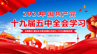 主题PPT讲稿：2020中国共产党十九届五中全会学习(全面建成小康社会)PPT模板