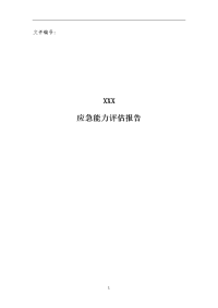 应急能力评估报告