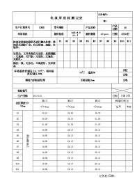 电泳_厚_度_检_测_记录