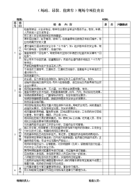 项目现场专项检查表