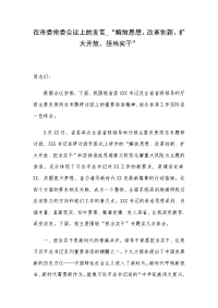 在市委常委会议上的发言_“解放思想、改革创新、扩大开放、担当实干”