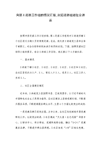 向第X巡察工作组的情况汇报_欢迎巡察组进驻会讲话