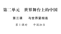 部编版九年级道德与法治下册第三课习题课件