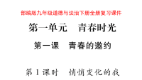 部编版九年级道德与法治下册全册复习课件