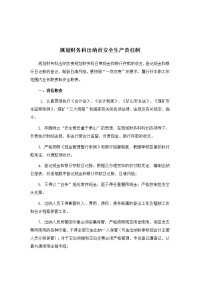 规划财务科出纳员安全生产责任制