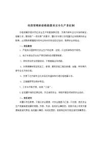 经营管理科价格核算员安全生产责任制