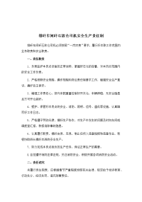 排矸车间矸石放仓司机安全生产责任制