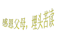 班主任资料：感恩父母，埋头苦读