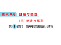 冀教版数学小学六年级下册教学课件-第六单元  回顾与整理（三）统计与概率-第1课时 简单的数据统计过程