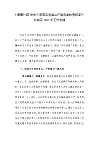 X市审计局2020年度落实全面从严治党主体责任工作总结及2021年工作安排