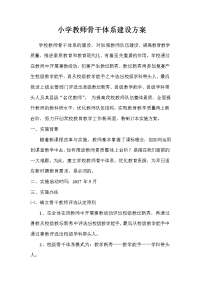 教师骨干体系建设方案
