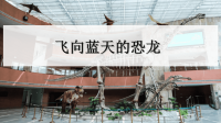 四年级下语文课件四年级下册语文课件-6 飞向蓝天的恐龙人教部编版 (共36张PPT)_人教版（2016部编版）
