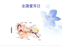 “关注儿童听力健康—3·3爱耳日”主题班会，精品PPT