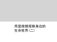 小学科学教科版六年级下册第一单元第六课《用显微镜观察身边的生命世界（二）》教学课件（2021新版）