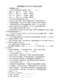 2020年初中毕业学业统一考试语文试卷（2020年中考语文全真模拟卷）