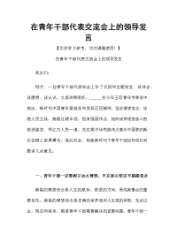 在青年干部代表交流会上的领导发言