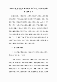 2020年度某局党组班子成员生活会个人对照检查材料Word版文