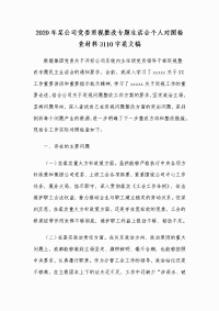 2020年某公司党委巡视整改专题生活会个人对照检查材料Word版范文稿