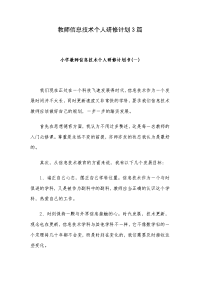 教师信息技术个人研修计划3篇