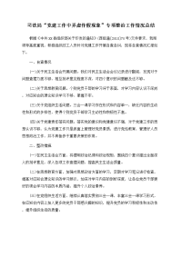 司法局“党建工作中弄虚作假现象”专项整治工作情况总结