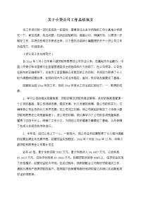 关于小贷公司工作总结范文