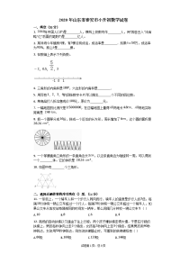 【小升初数学真题，含答案，word版可编辑】2020年山东省泰安市小升初数学试卷