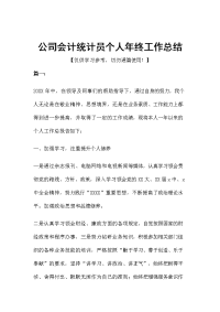 公司会计统计员个人年终工作总结