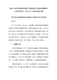 2020年在全县基层党建工作推进会上的讲话稿和在全县防汛抗旱工作会议上的讲话稿合编