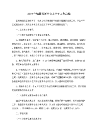 2018年城管指挥中心上半年工作总结