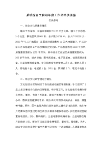 某镇综合文化站年度工作总结供借鉴