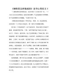 《钢铁是怎样炼成的》读书心得范文5